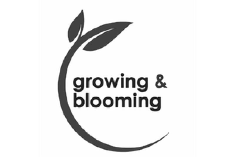 Visit Website